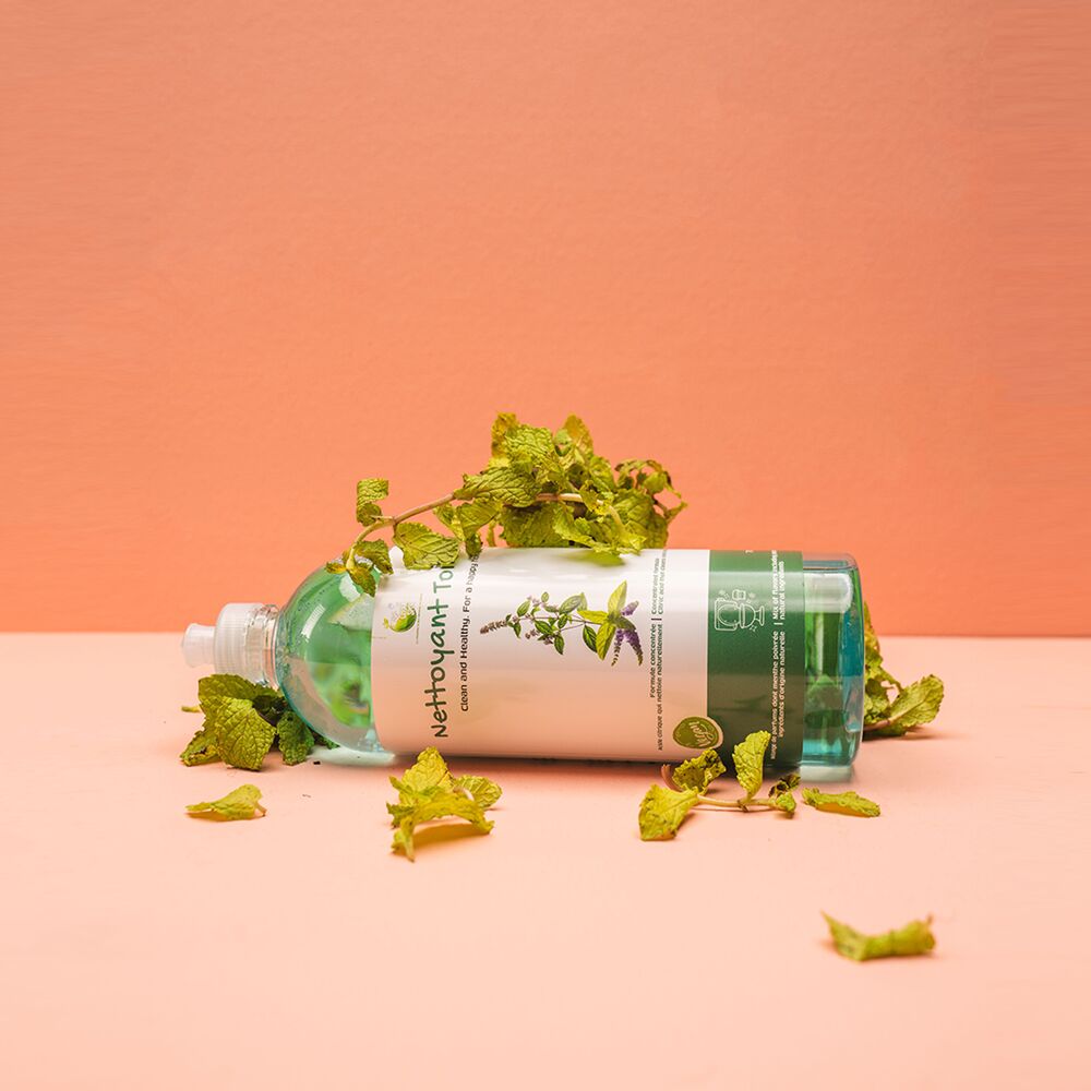 Nettoyant-toilette-menthe